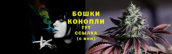 кристаллы Инта