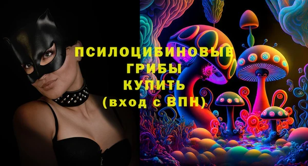 кристаллы Инта
