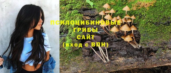 таблы Иннополис