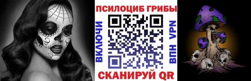 Купить  Луга  Галлюциногенные грибы мицелий 